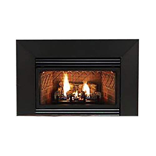 Empire VFPC20IN73P Insbrook VF IP 20000 BTU Fireplace Insert - LP