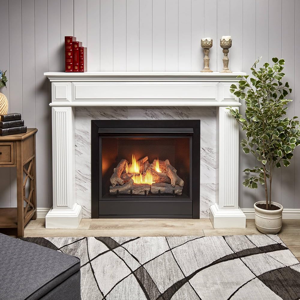 32,000 BTU Dual Fuel Ventless Gas Fireplace Insert with Remote Control